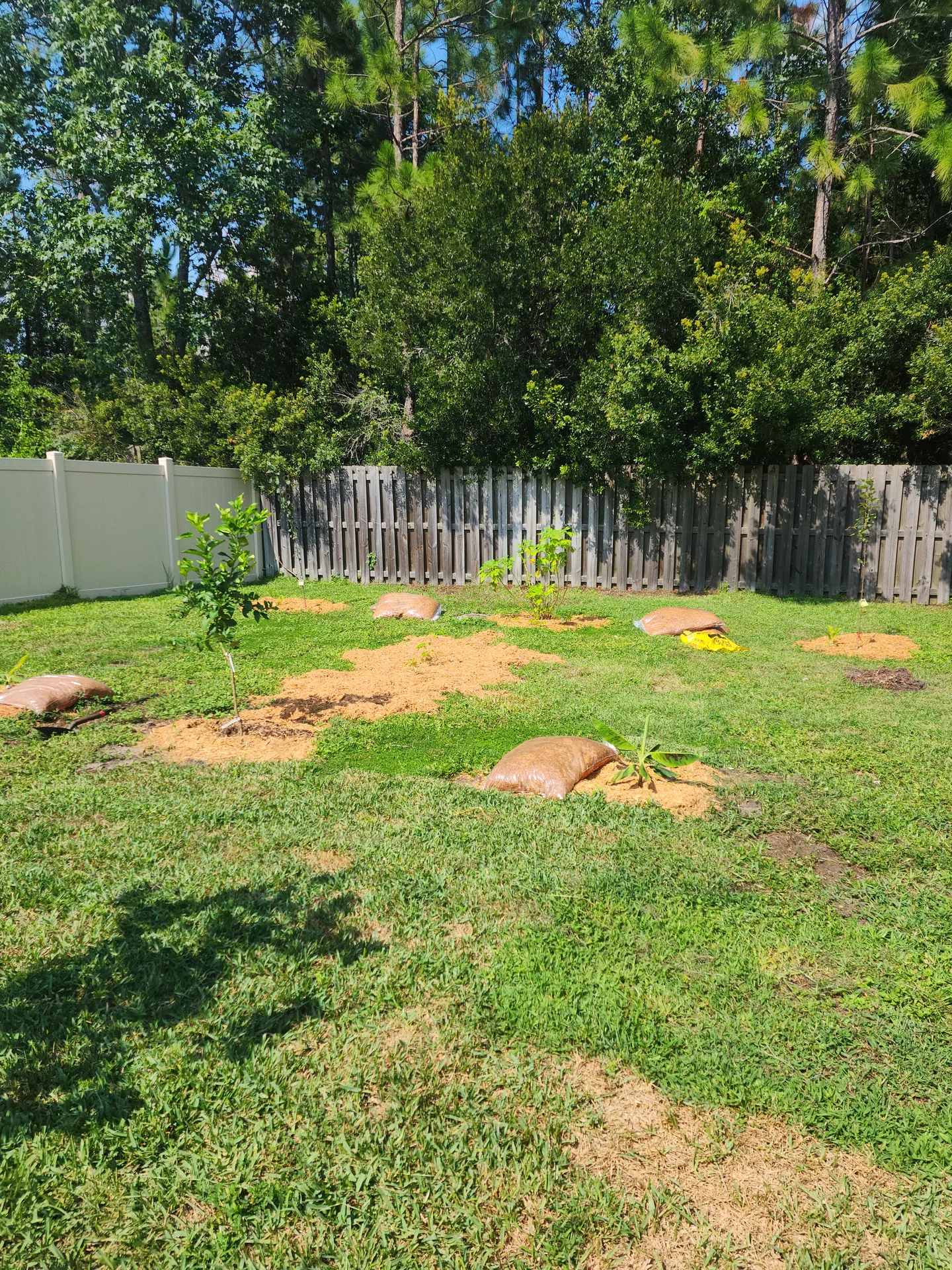 First plants July 8 2023