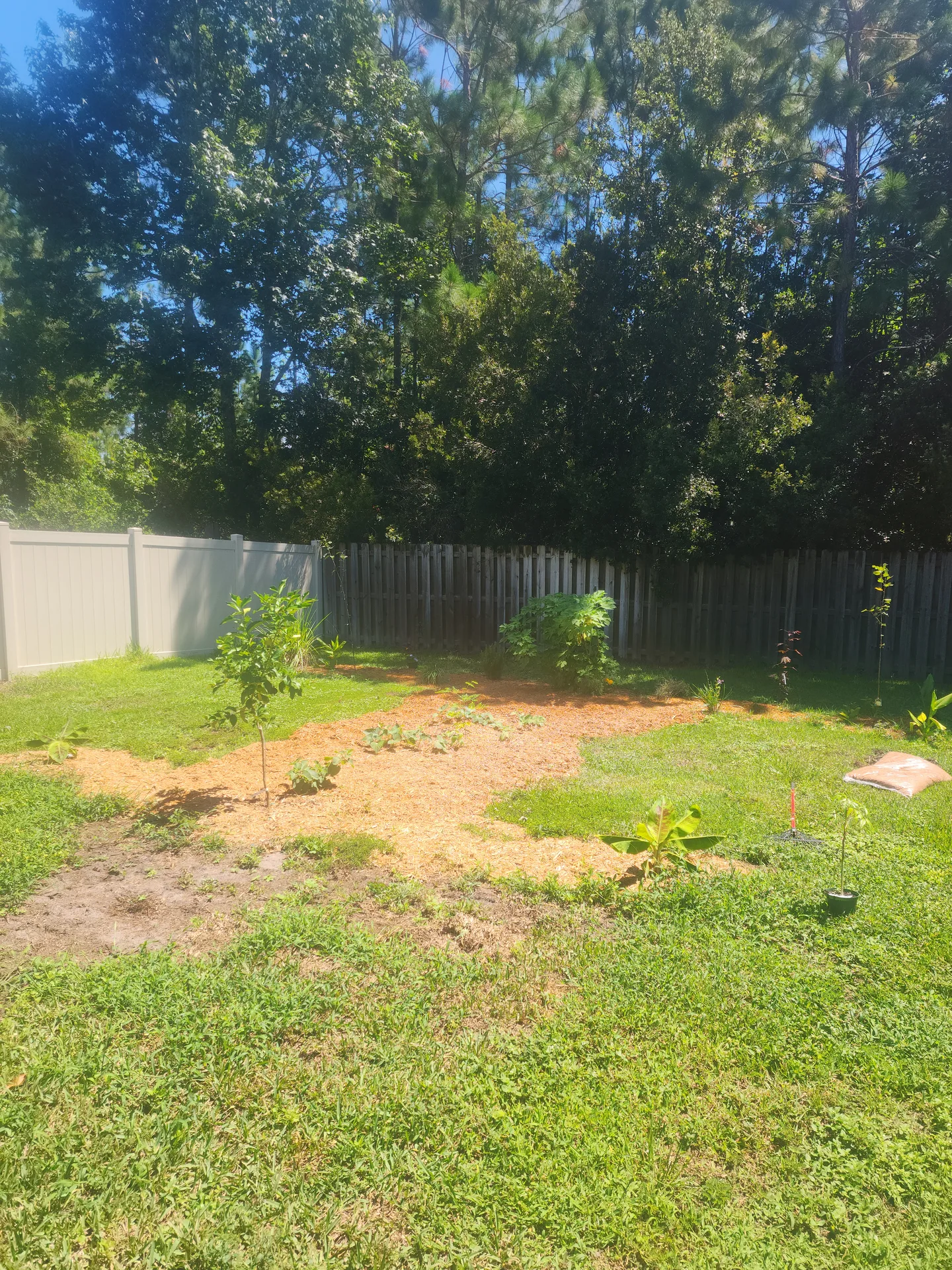 Sheet mulch linking beds July 2023
