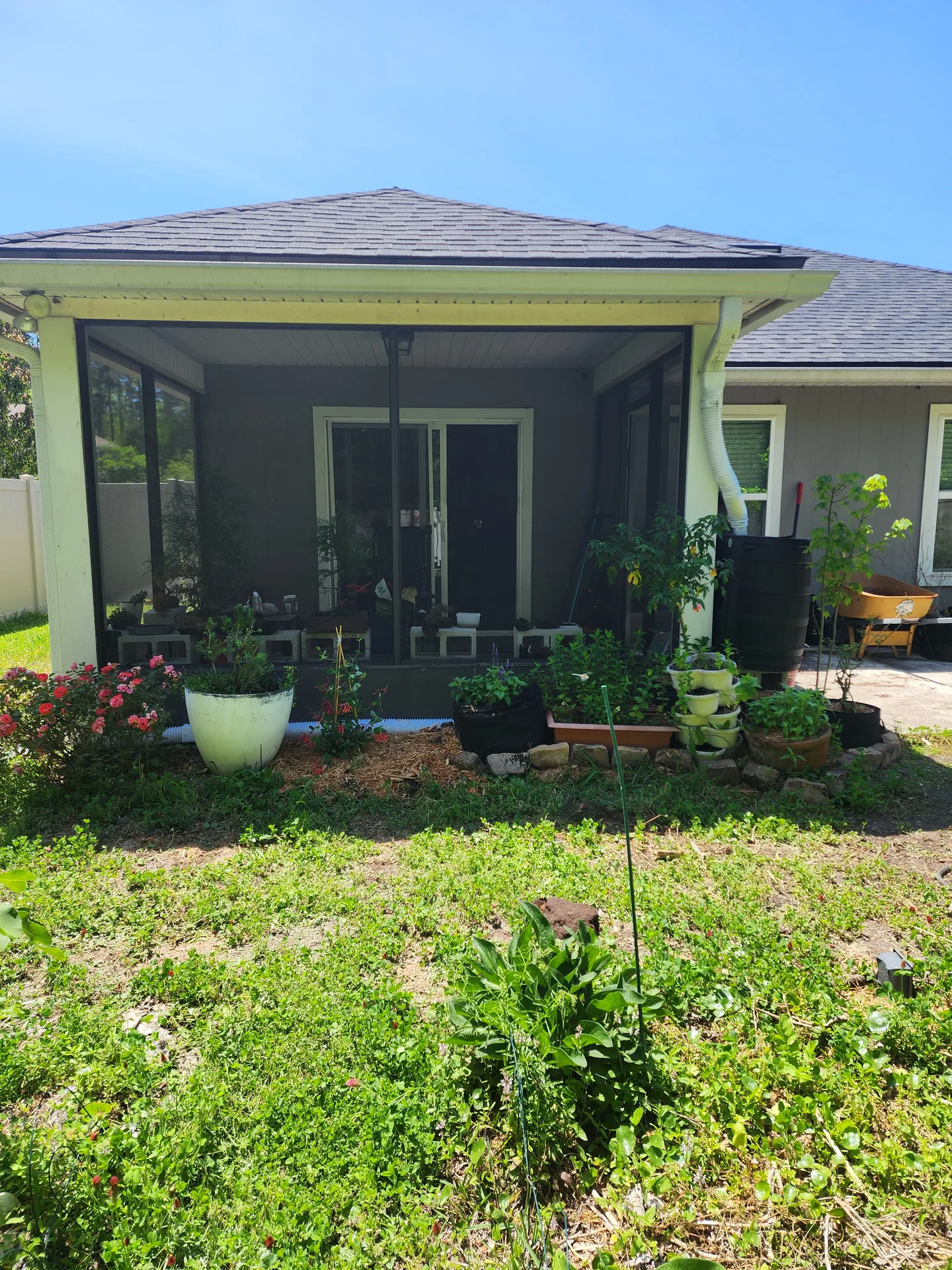 Lanai hummingbird pollinator garden started April 2025