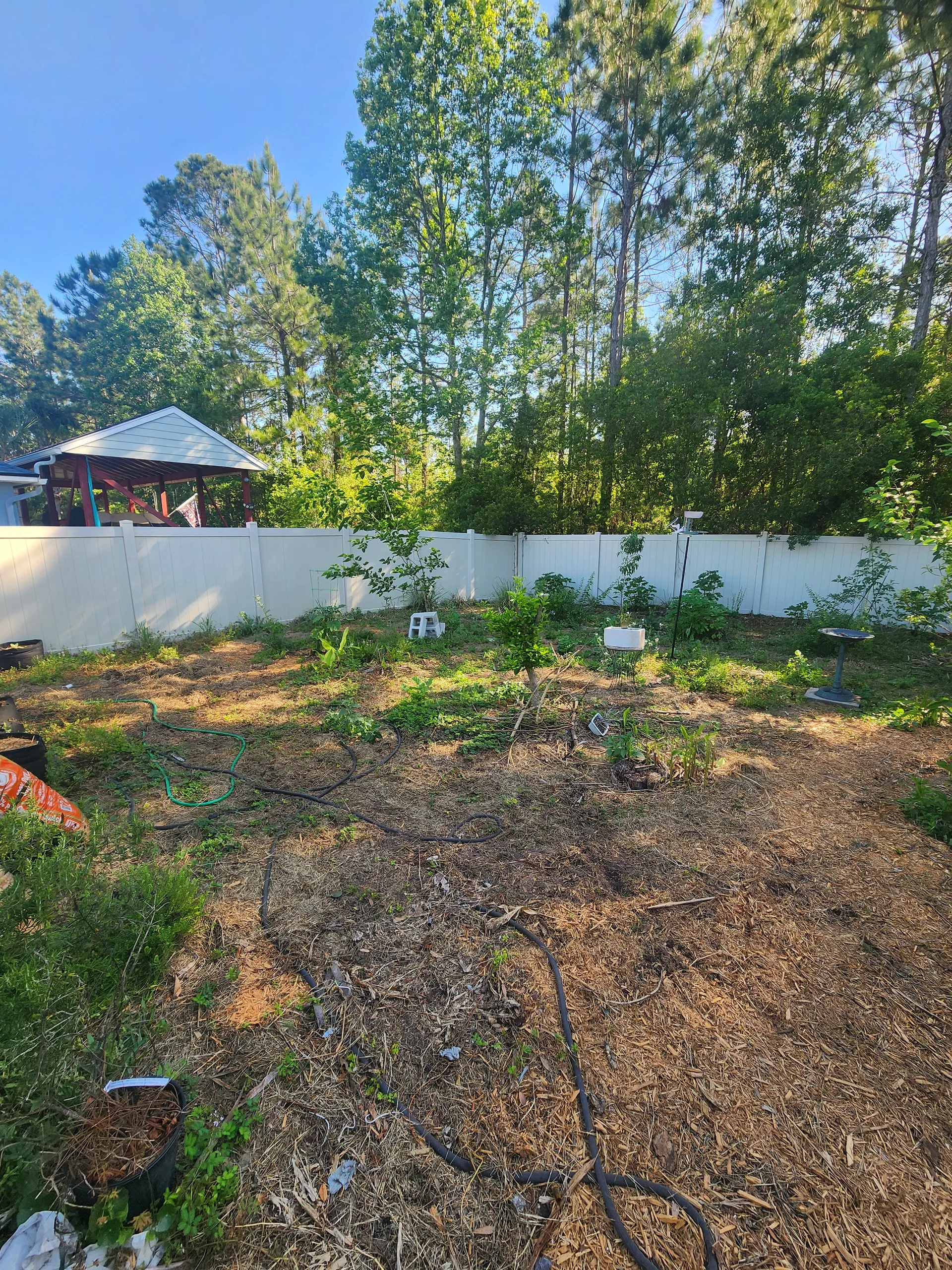 Food forest left side April 2026
